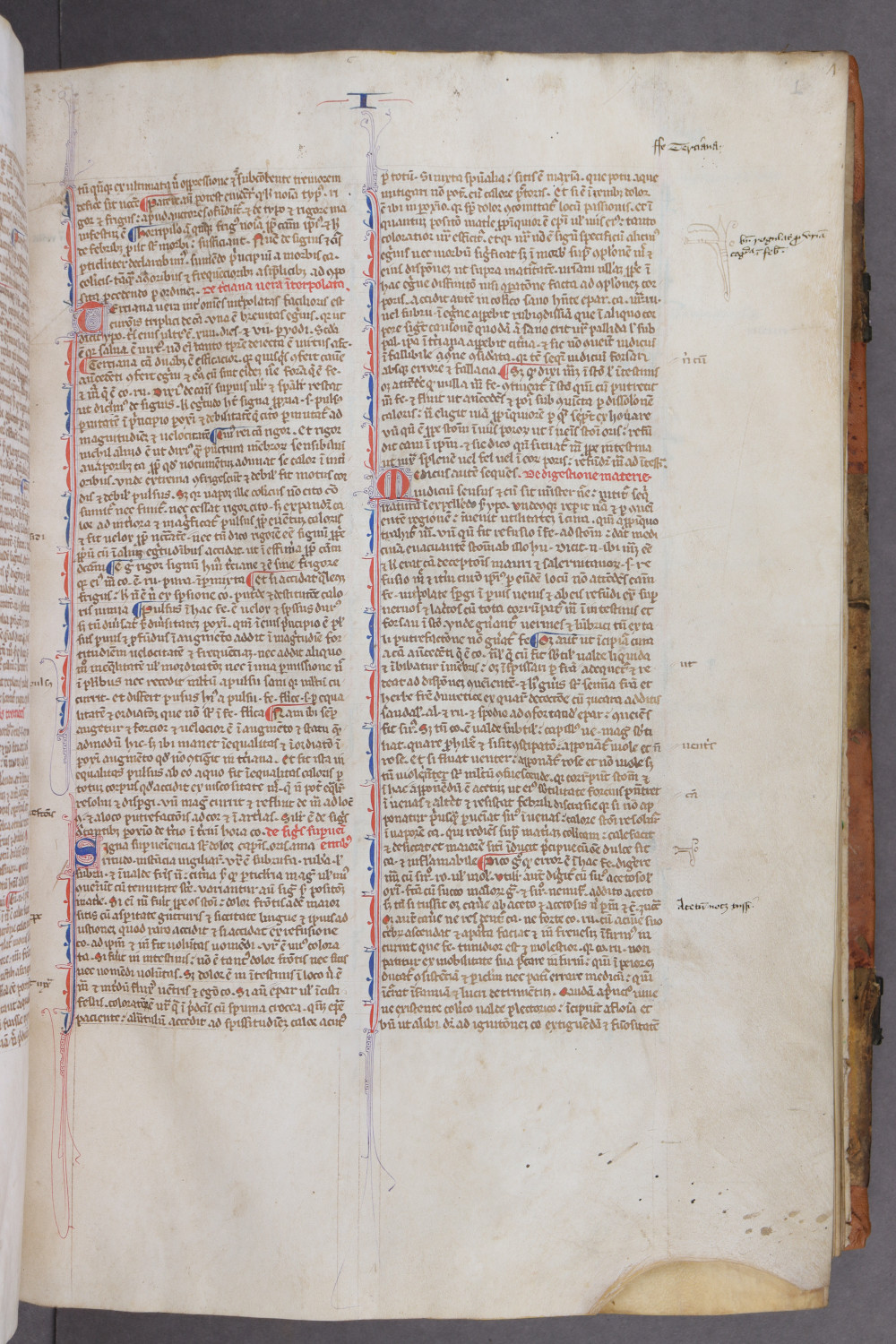 Folio 6 recto